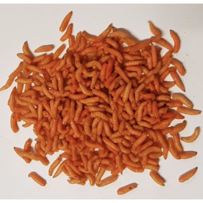 Gefrbte Maden (orange) Dose  25g